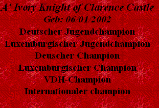 A' Ivory Knight of Clarence Castle
Geb: 06/01/2002
Deutscher Jugendchampion
Luxemburgischer Jugendchampion
Deuscher Champion 
Luxemburgischer Champion 
VDH-Champion
Internationaler champion

