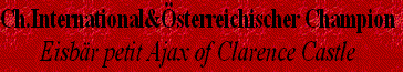 Ch.International&Österreichischer Champion
Eisbär petit Ajax of Clarence Castle 